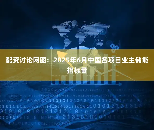 配资讨论网图：2025年6月中国各项目业主储能招标量