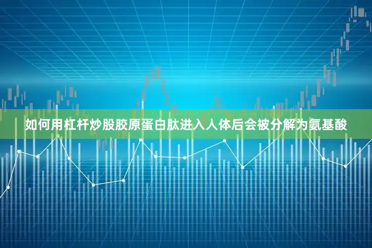 如何用杠杆炒股胶原蛋白肽进入人体后会被分解为氨基酸