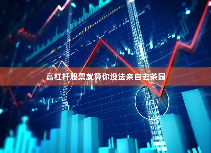 高杠杆股票就算你没法亲自去茶园