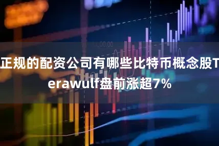 正规的配资公司有哪些比特币概念股Terawulf盘前涨超7%