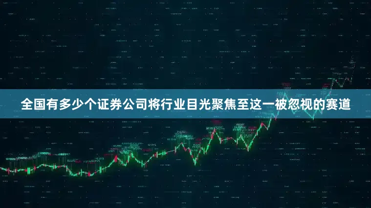 全国有多少个证券公司将行业目光聚焦至这一被忽视的赛道