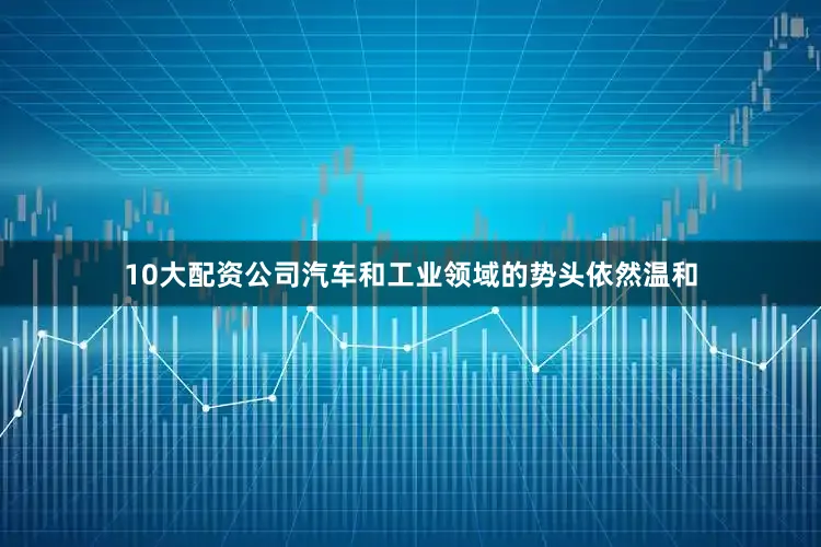10大配资公司汽车和工业领域的势头依然温和