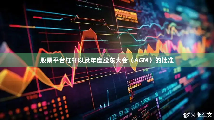 股票平台杠杆以及年度股东大会（AGM）的批准