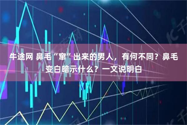 牛途网 鼻毛“窜”出来的男人，有何不同？鼻毛变白暗示什么？一文说明白