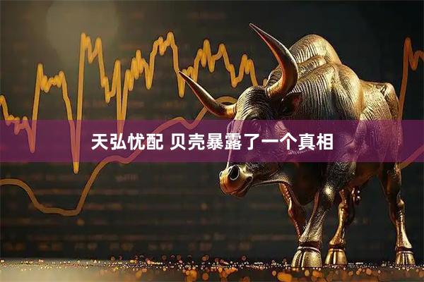 天弘忧配 贝壳暴露了一个真相